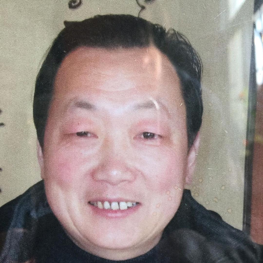 中鲁金弹盆景