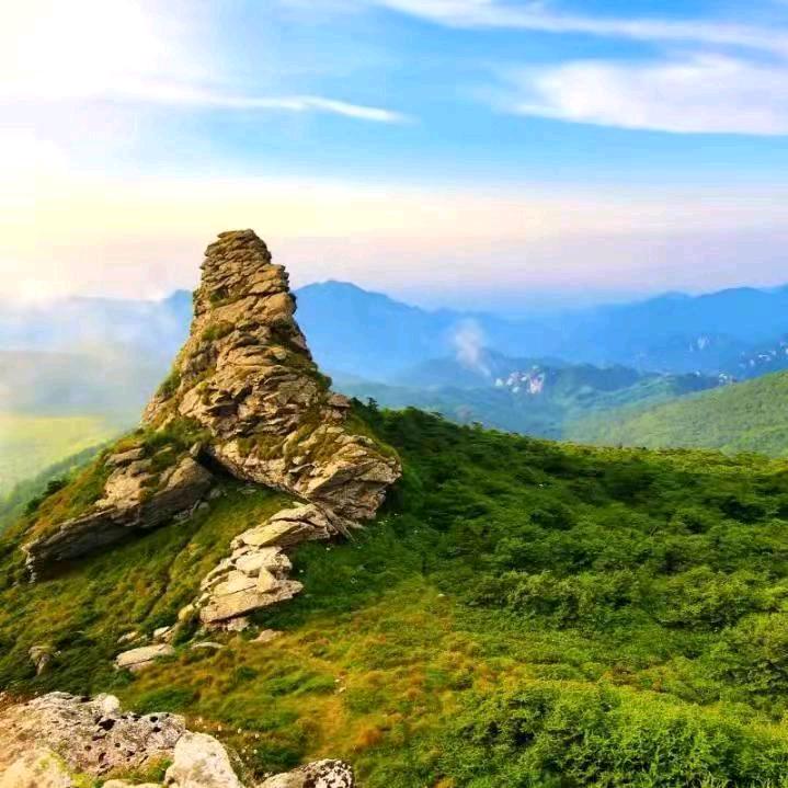 纪实前沿（碳中和）