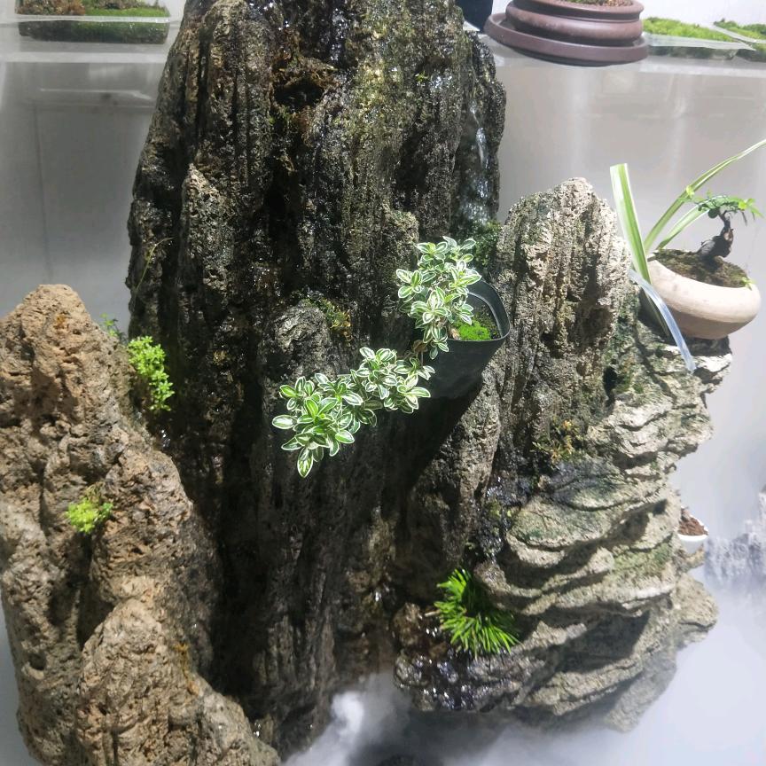 @辣根