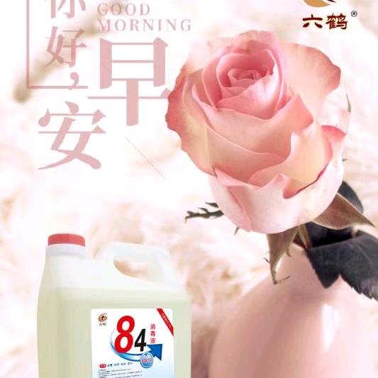 六鹤消毒液厂家 赵娜