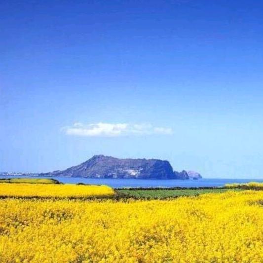 海纳百川🍀