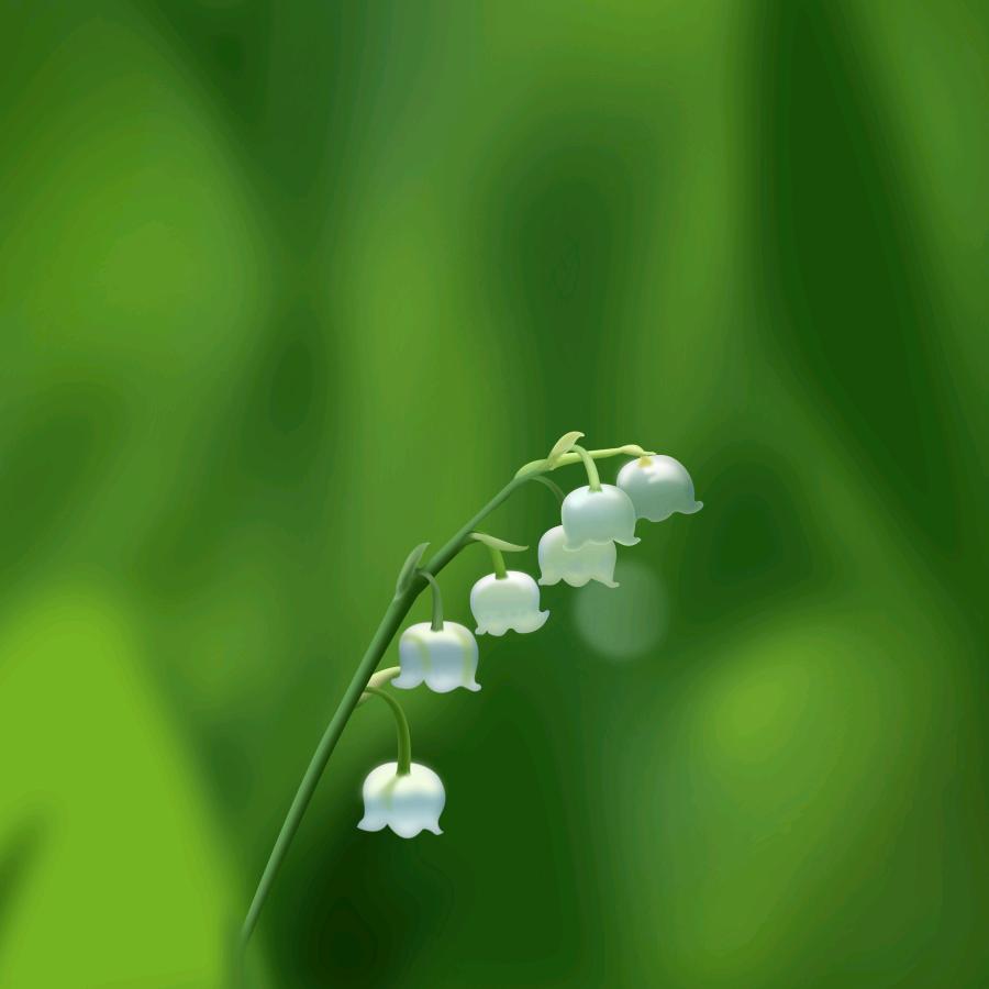 এ᭄若·如初ꦿ໊ོ