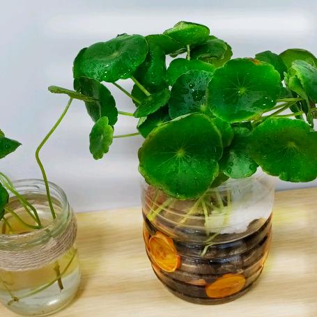 如果～【拒私聊  拒合拍】