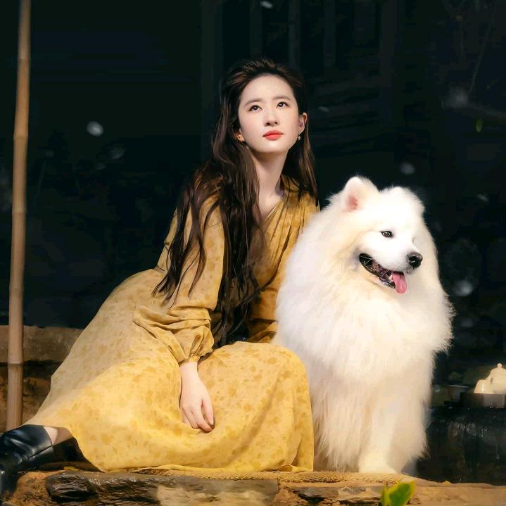 樱桃小丸子🌸💥🌟✨⭐️