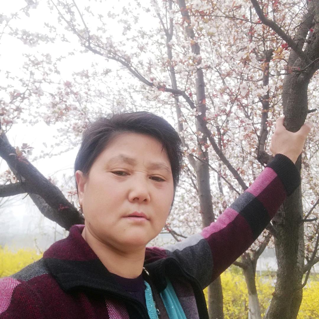王宇姐A