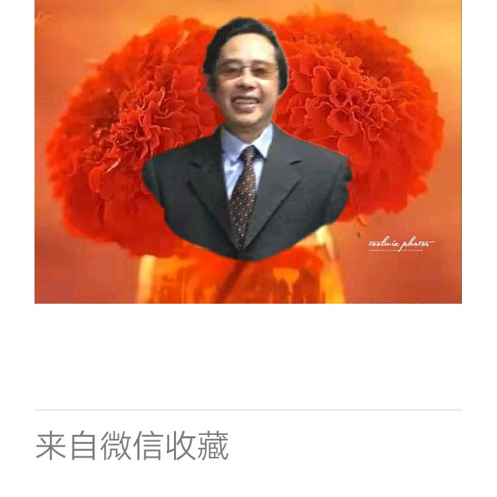 云山雾罩