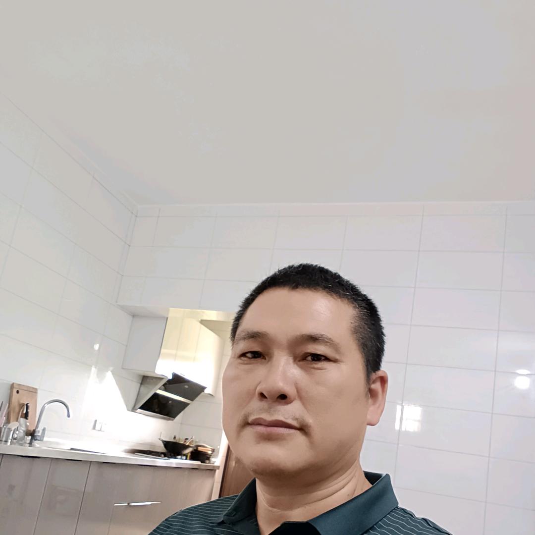 林中找木
