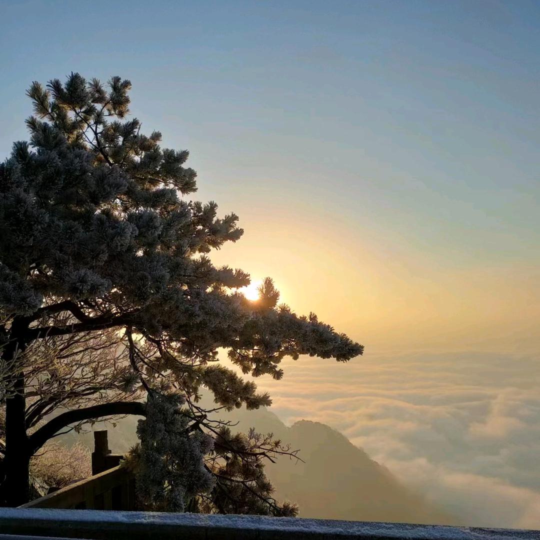 澜沧之洲