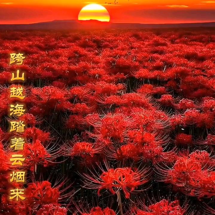 张