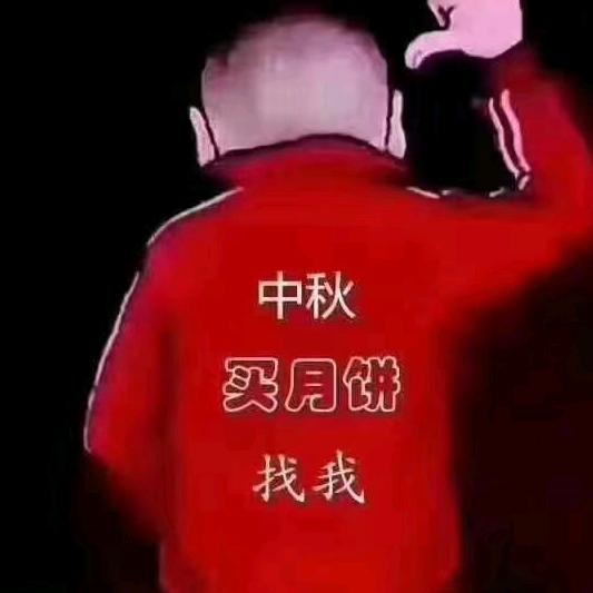 粽子月饼年货宋伟
