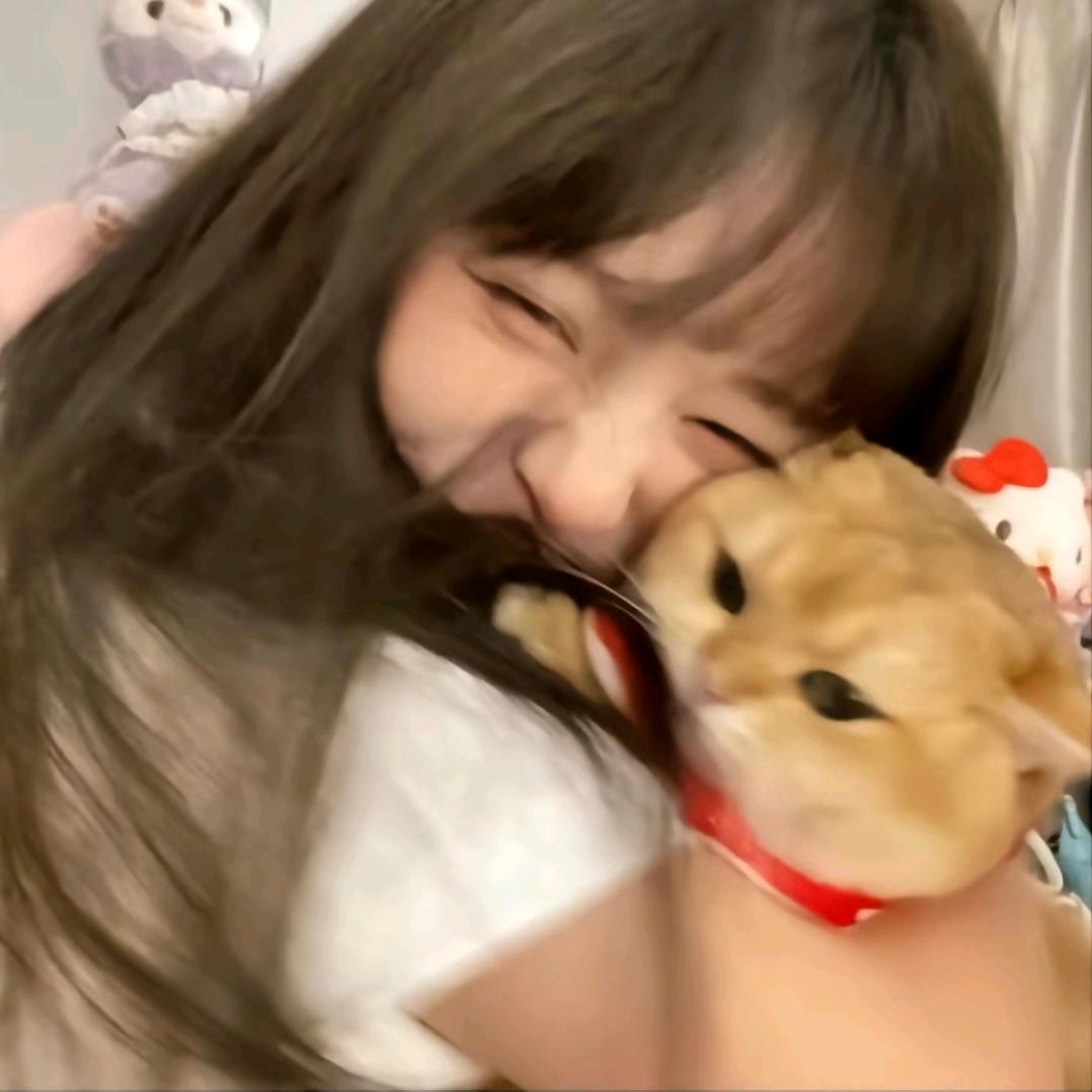 橘子味道的黑猫