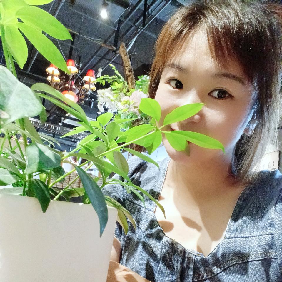 小童菌