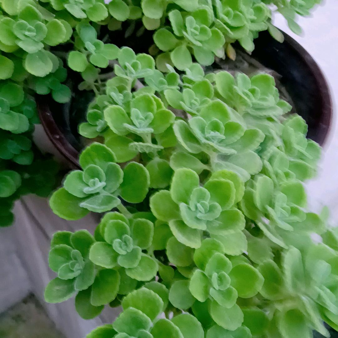 人生百味,自己体会