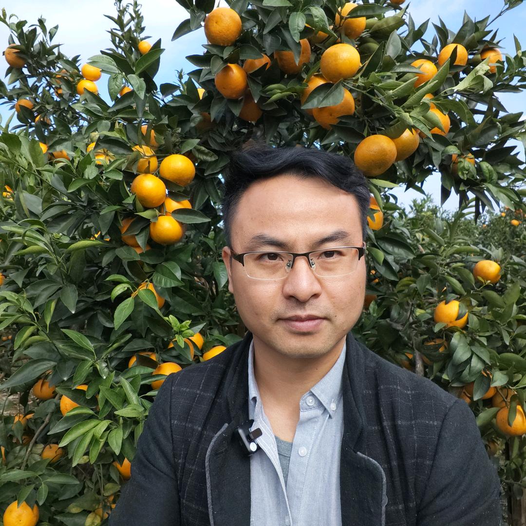 柑甜果优水果经营部