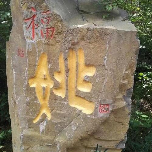 树欲静而风不止