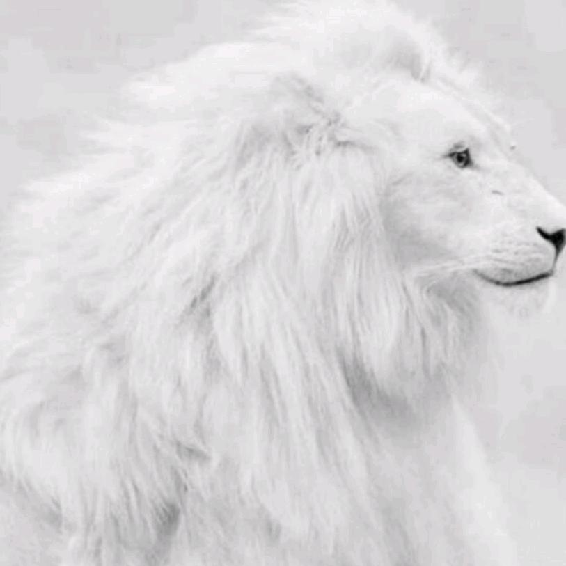 TOP RINK 游乐体验中心 蓝钻台球