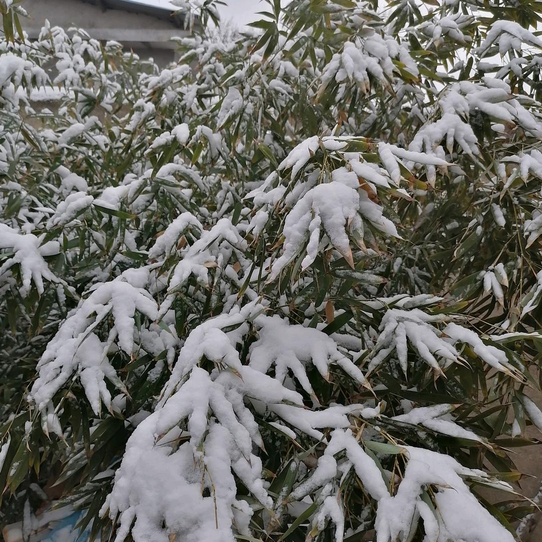 家有二宝