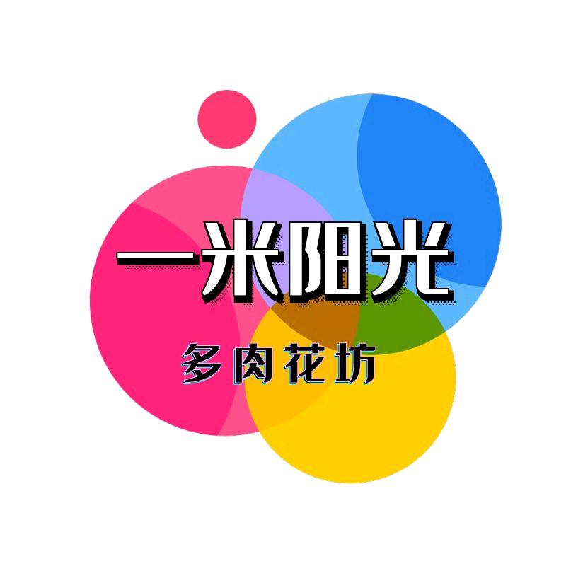 一米阳光多肉花坊