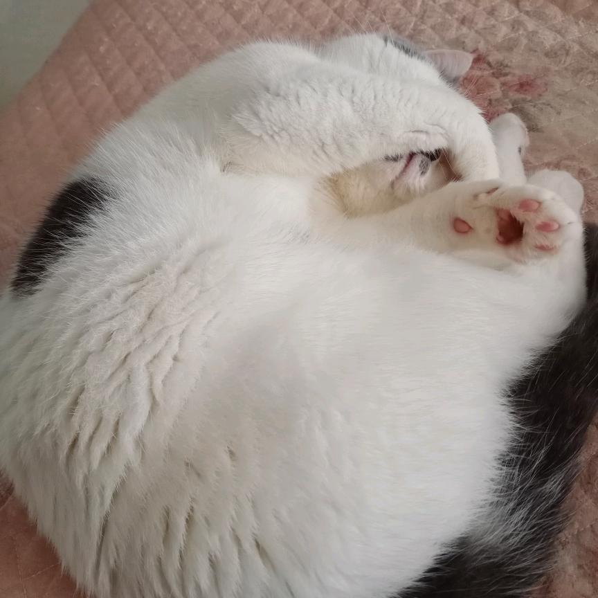 庭庭＾０＾~