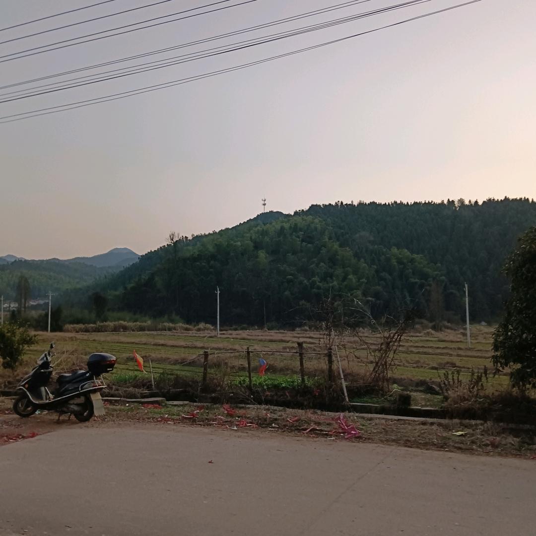 水果