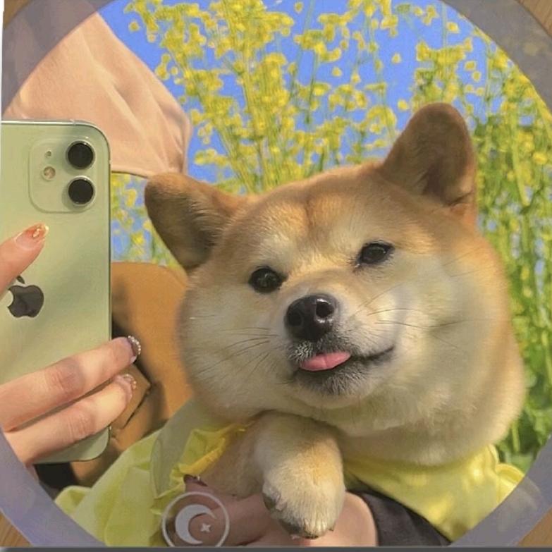 王能能💫