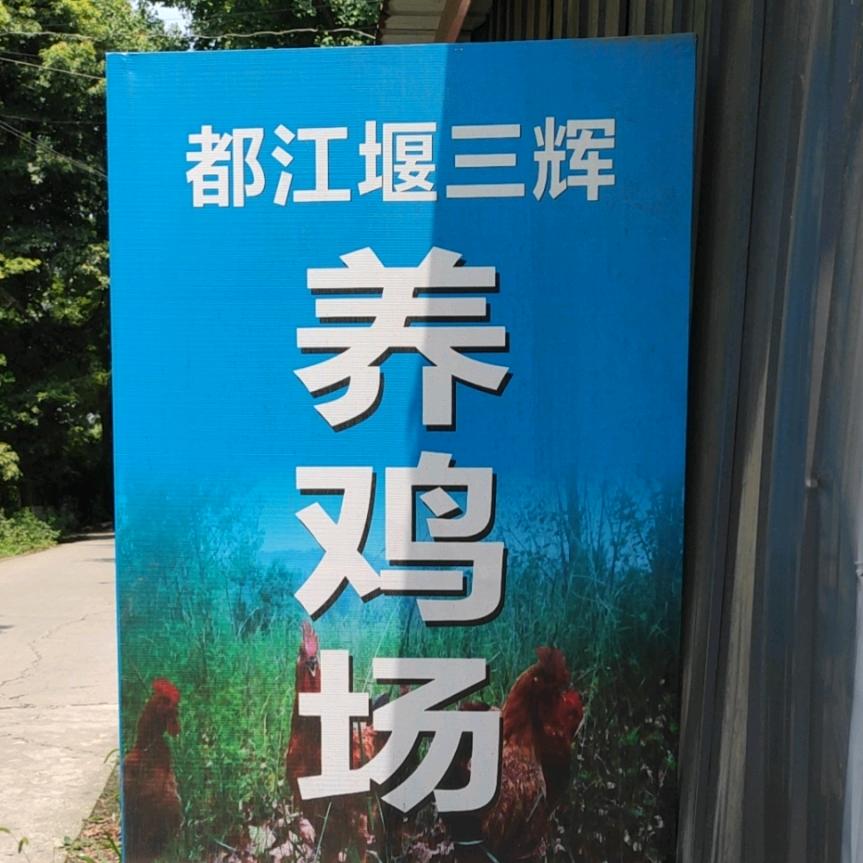 山歌
