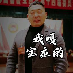 我嘎宝应的