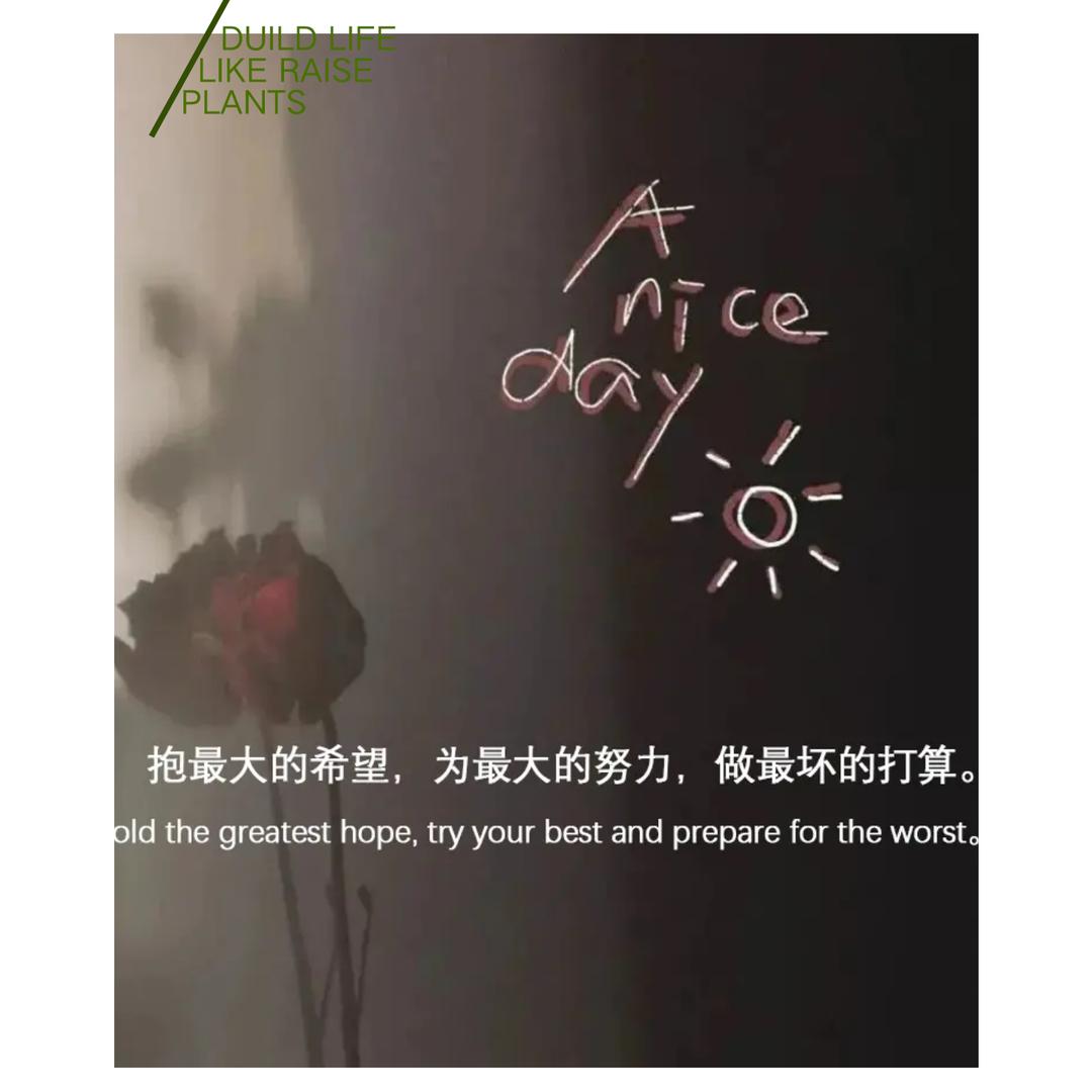 এ᭄小 ꦿW💔 ོ࿐ᩚ