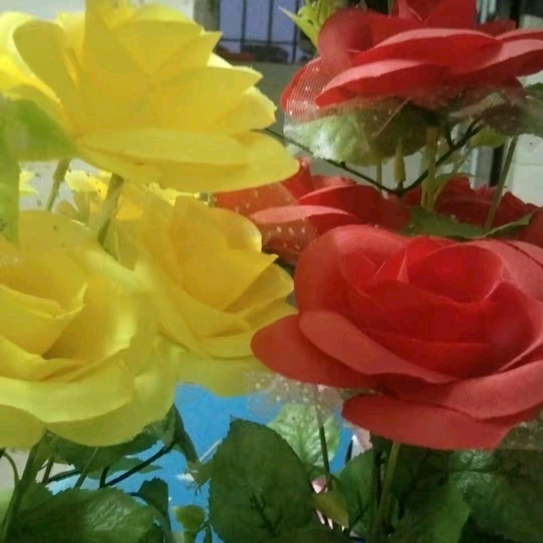 两朵花