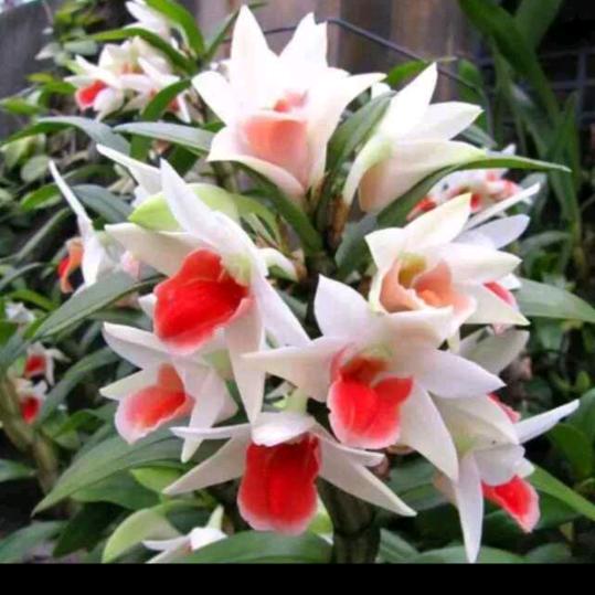 不忘初心，方得始终