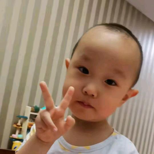 木糖醇（枫叶）