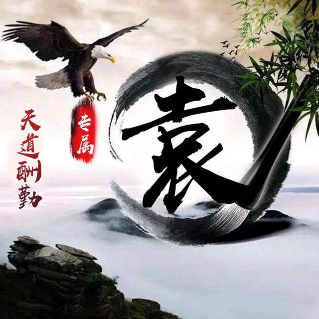 袁來是你