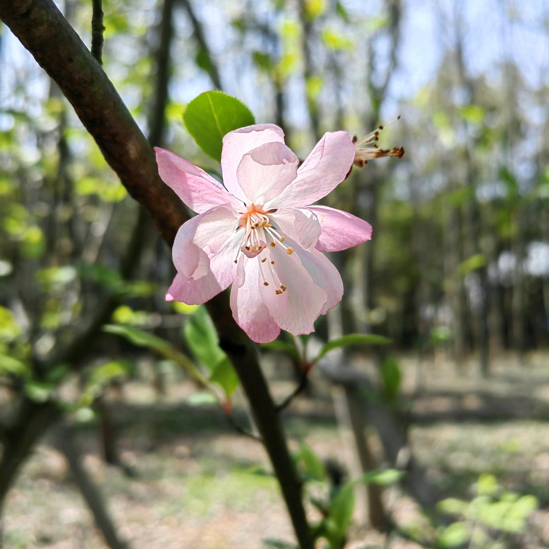 风景如画