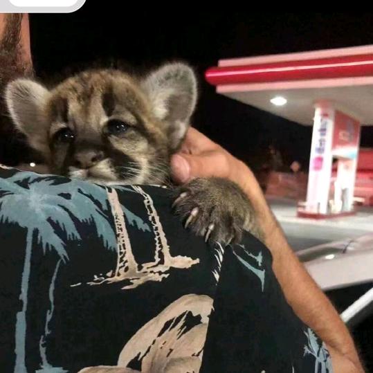 •᷄ᯅ•᷅（不磕博）