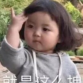 西贝