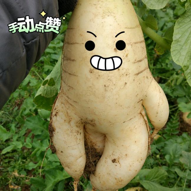 厂矿子弟