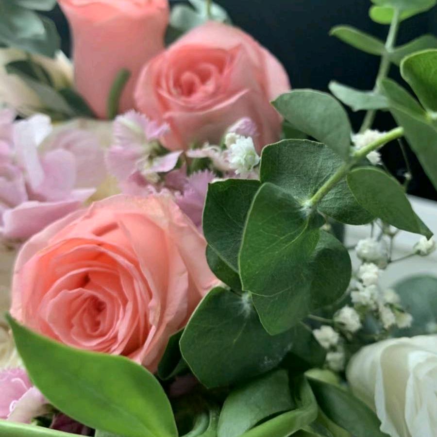 梦想🌹🌹
