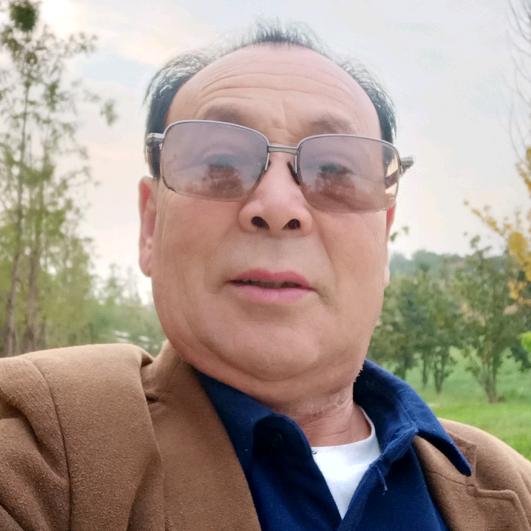 伏秦西
