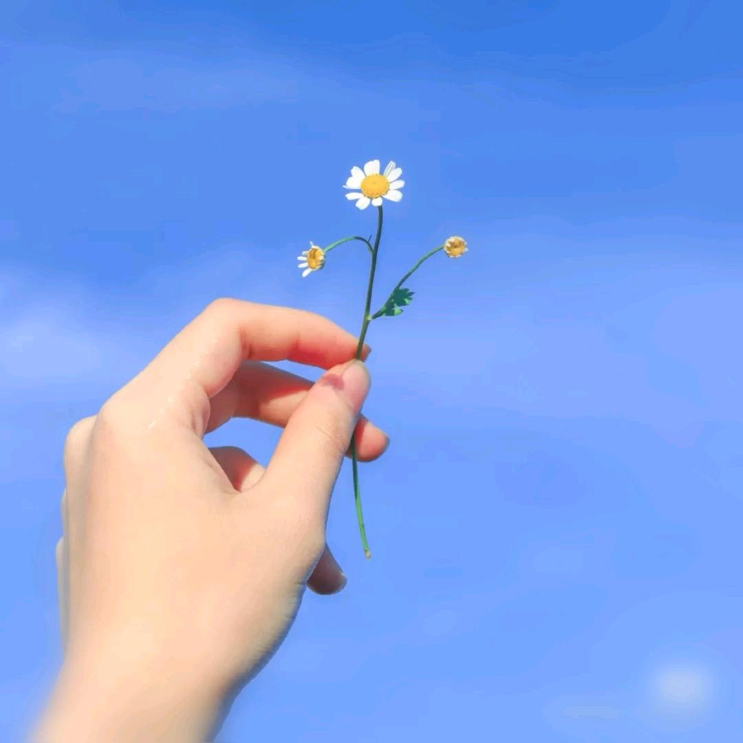 芳