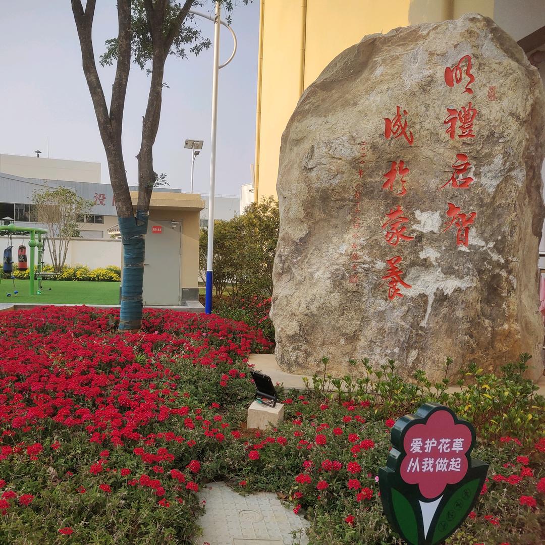 板桥明成、明华幼儿园