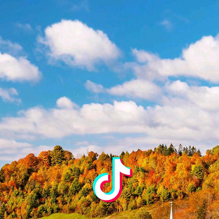 信吾