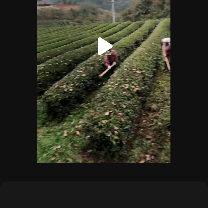 平平淡淡 过到老