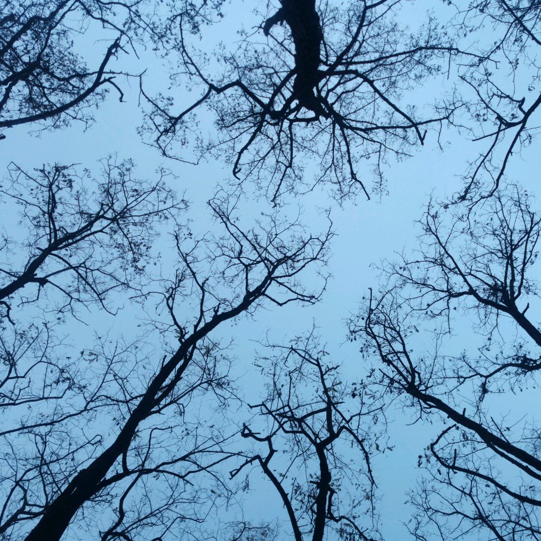 还得是雨哥
