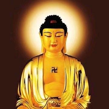 拼搏现实的明天