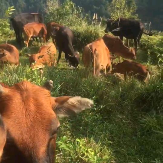 丰源家庭农场，