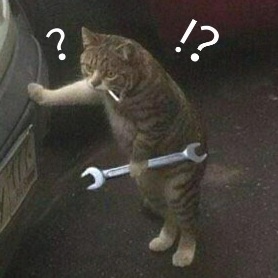 耀西