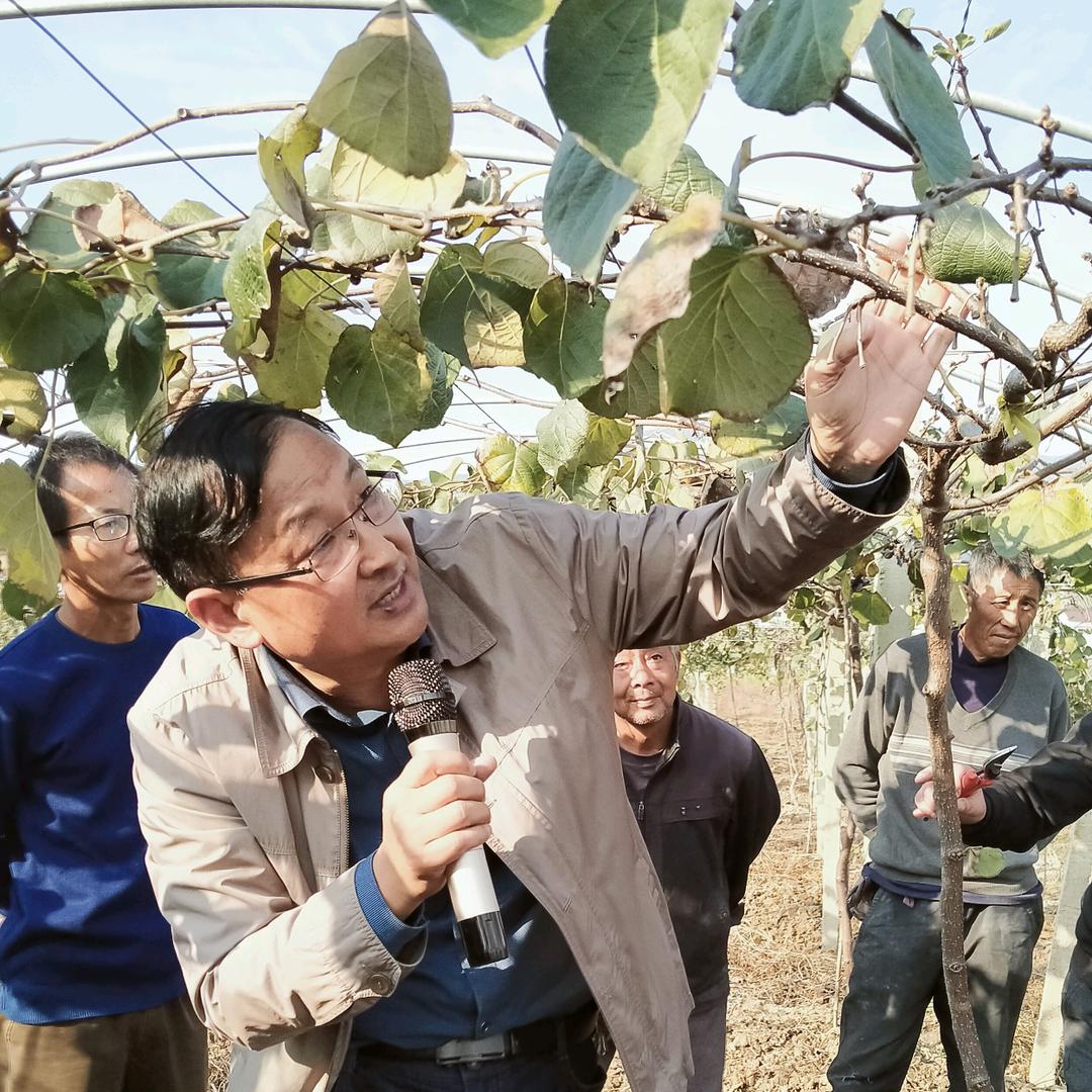金牌果树技术传播人/六安市果树研究所