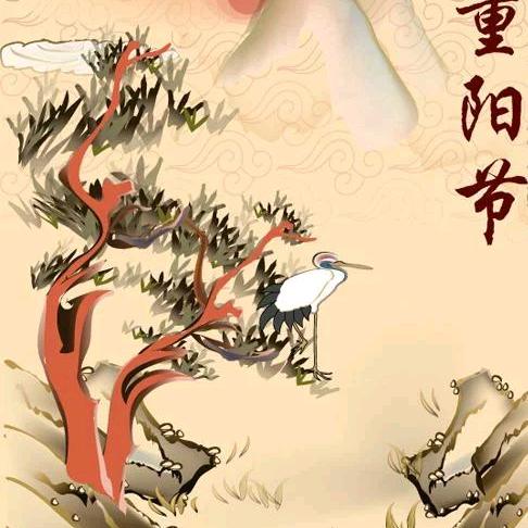 生命当怒放