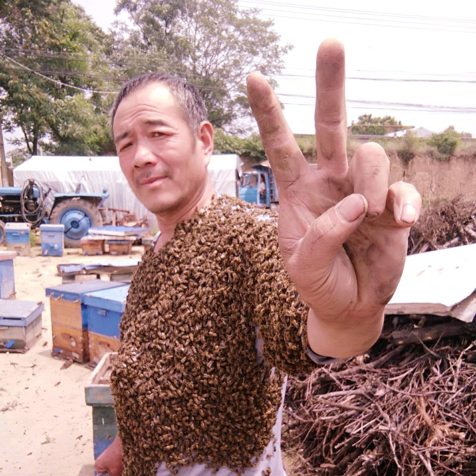 养蜂人田农民