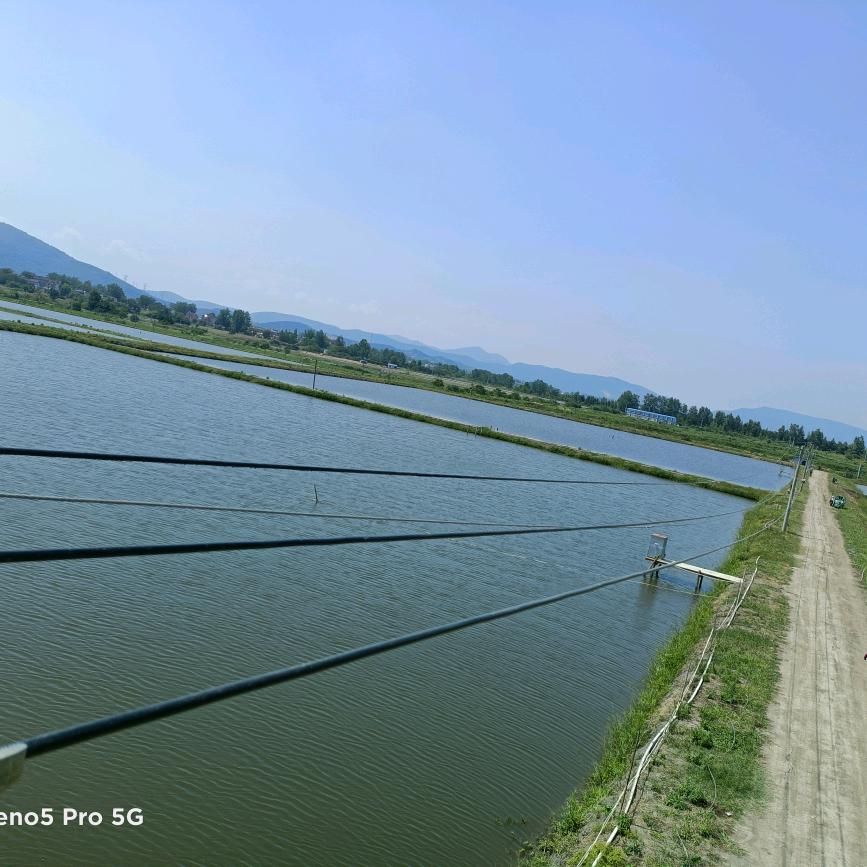 含山静波水产养殖有灬